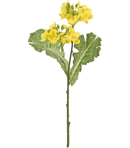 Amazon｜菜の花ブッシュ L *9 FLB0855L 菜の花 ナノハナ なのはな 造花